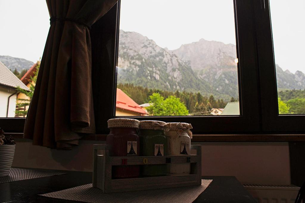 Apartament Mountain Life Буштени Экстерьер фото