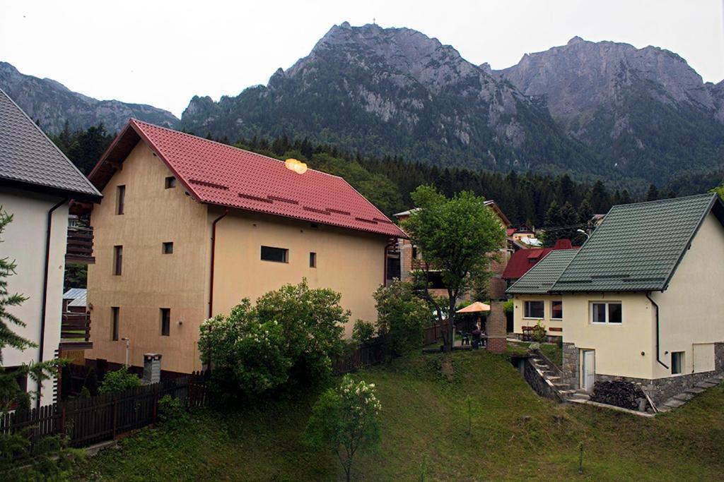 Apartament Mountain Life Буштени Экстерьер фото