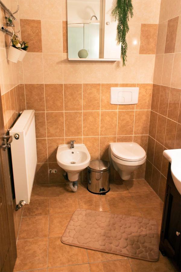 Apartament Mountain Life Буштени Экстерьер фото